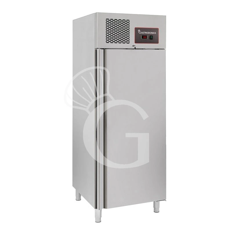 Armadio Refrigerato Ventilato -2°C/+8°C 525 LT Classe Energetica D 6 Armadio Refrigerato Ventilato -2°C/+8°C 525 LT Classe Energetica D - immagine 4