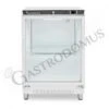 Armadio Refrigerato Statico Porta Vetro -2°C/+8°C 103 LT Classe Energetica D -Vendite GATRODOMUS armadio refrigerato statico porta vetro 2c8c 103 lt