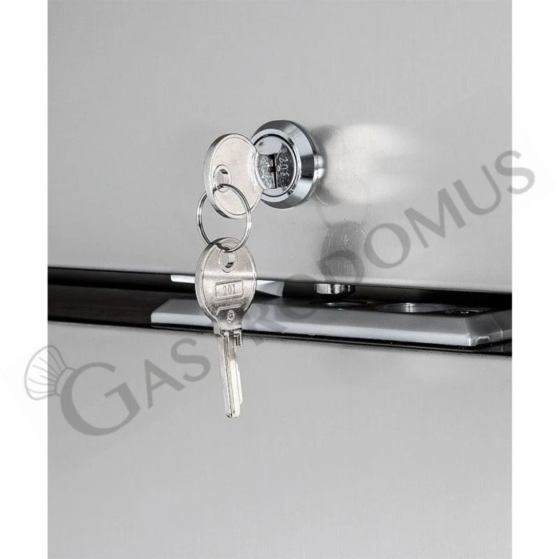 Armadio Refrigerato Ventilato, 2 Porte Vetro -2°C/+10 °C 1400 LT 8 Armadio Refrigerato Ventilato, 2 Porte Vetro -2°C/+10 °C 1400 LT - immagine 6