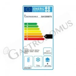 Armadio Congelatore Ventilato 2 Porte -18°C/-22°C 1040 LT Classe Energetica D -Vendite GATRODOMUS armadio refrigerato ventilato bt temperatura 18c 22c capacita 1040 lt 1