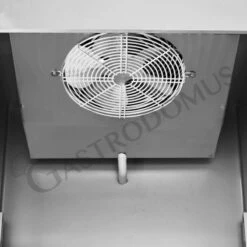 Armadio Congelatore Ventilato 2 Porte -18°C/-22°C 1040 LT Classe Energetica D -Vendite GATRODOMUS armadio refrigerato ventilato bt temperatura 18c 22c capacita 1040 lt 7