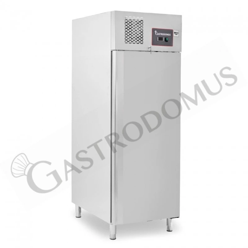 Armadio Refrigerato Ventilato -2°C/+8°C 650 LT Full Optional Classe Energetica C 6 Armadio Refrigerato Ventilato -2°C/+8°C 650 LT Full Optional Classe Energetica C - immagine 4