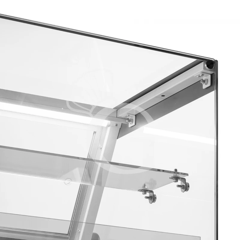 Banco Espositivo Gastronomia Ventilato, Vetro Dritto, Ripiano Intermedio, 0°/+5°C, Lunghezza 1955 Mm Full Optional 7 Banco Espositivo Gastronomia Ventilato, Vetro Dritto, Ripiano Intermedio, 0°/+5°C, Lunghezza 1955 Mm Full Optional - immagine 5