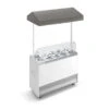 Banco Gelato Ventilato Su Ruote Joy 10 Pozzetti Con Riserva E Cappottina Telescopica Grigio, L 1316 X P 856 X H 2170 Mm -Vendite GATRODOMUS banco gelato ventilato su ruote joy 10 pozzetti con riserva e cappottina telescopica grigio l 1316 x p 856 x h 2170 mm