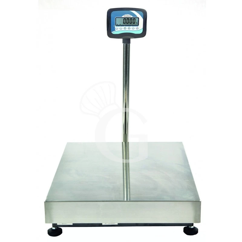 Bilancia Monocella Completa Portata 30 Kg Precisione 5 G L 450 Mm X P 350 Mm X H 640 Mm 3 Bilancia Monocella Completa Portata 30 Kg Precisione 5 G L 450 Mm X P 350 Mm X H 640 Mm