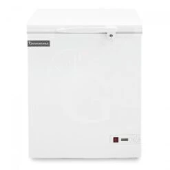 Congelatore A Pozzetto Statico 148 LT -18°C Classe Energetica F