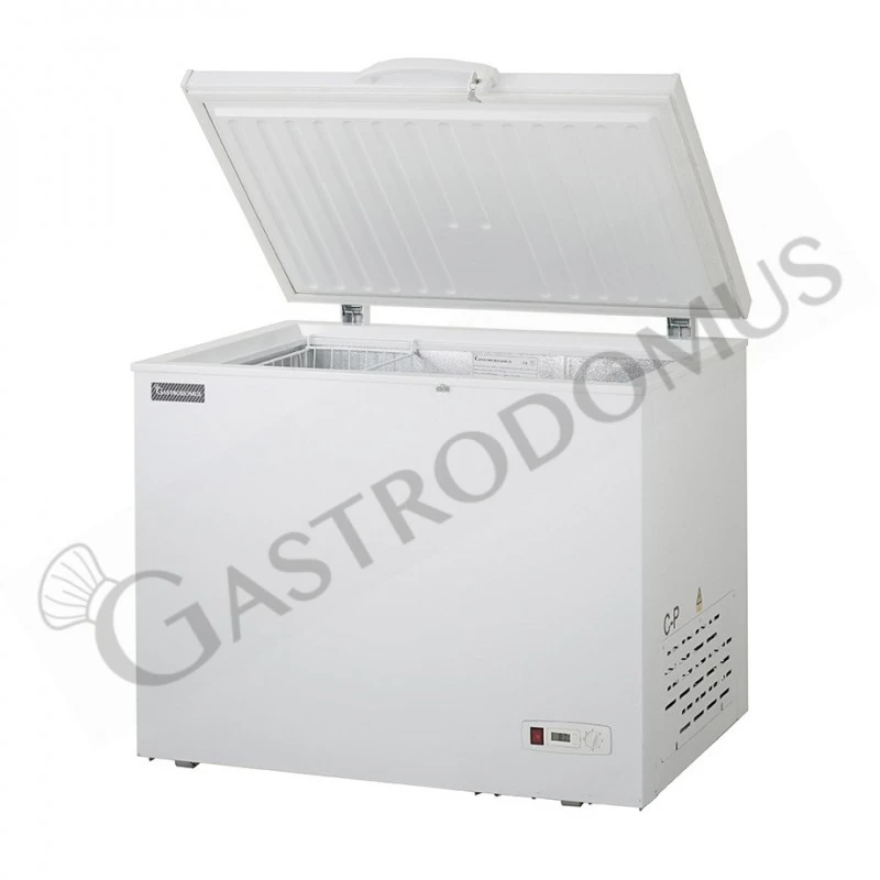 Congelatore A Pozzetto Statico 370 LT -18°C Classe Energetica F 5 Congelatore A Pozzetto Statico 370 LT -18°C Classe Energetica F - immagine 3