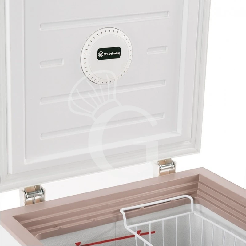 Congelatore A Pozzetto Statico 92 LT -25 °C 7 Congelatore A Pozzetto Statico 92 LT -25 °C - immagine 5