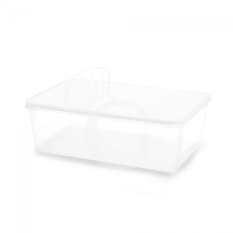 Contenitore Ermetico Completo Di Coperchio Capacità 2 L Dimensioni L 225 X P 155 X H 85 Mm 4 Contenitore Ermetico Completo Di Coperchio Capacità 2 L Dimensioni L 225 X P 155 X H 85 Mm - immagine 2