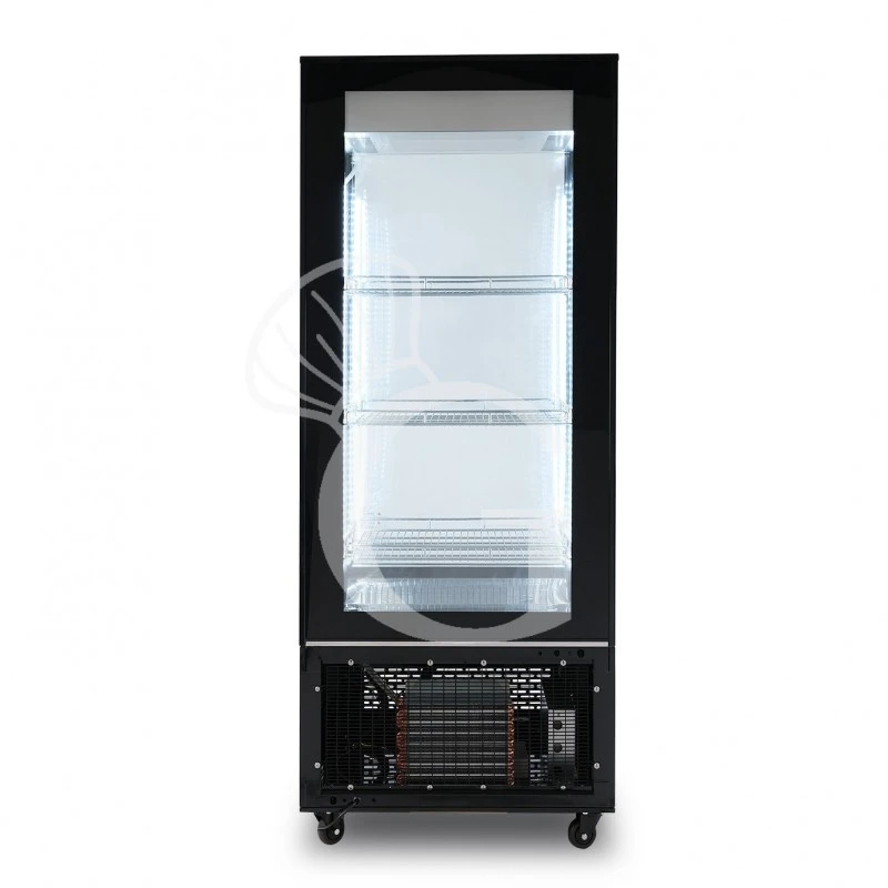 Espositore Refrigerato Ventilato Color Nero 400 LT -13°C/-22°C Classe Energetica B 6 Espositore Refrigerato Ventilato Color Nero 400 LT -13°C/-22°C Classe Energetica B - immagine 4