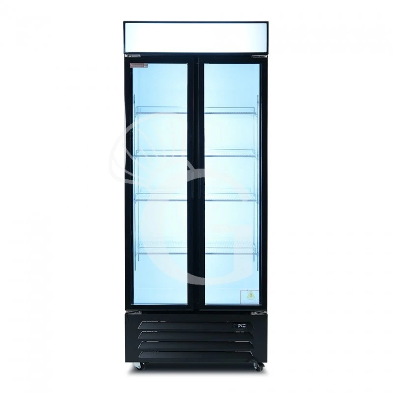 Frigo Bibite Ventilato 2 Porte Battenti Con Canopy 490 LT 0°C/+10°C Colore Nero 5 Frigo Bibite Ventilato 2 Porte Battenti Con Canopy 490 LT 0°C/+10°C Colore Nero - immagine 3