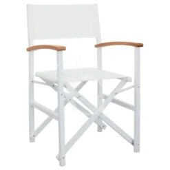 Sedia Cinema Con Struttura Pieghevole In Alluminio, Braccioli In Legno E Seduta In Tessuto