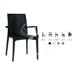 Sedia Sofia In Polipropilene -Vendite GATRODOMUS sedia sofia in polipropilene 4