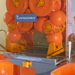 Spremiagrumi Automatica Professionale Monofase 0,12 Kw, Produzione Al Minuto 20 Arance 13 Spremiagrumi Automatica Professionale Monofase 0,12 Kw, Produzione Al Minuto 20 Arance -Vendite GATRODOMUS spremiagrumi automatica professionale monofase 012 kw produzione al minuto 20 arance 4