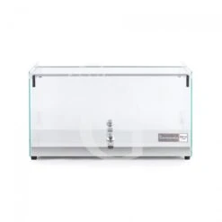 Vetrina Bar Neutra Porta Brioches In Vetro Piano In Inox L 555 Mm X P 360 Mm X H 300 Mm